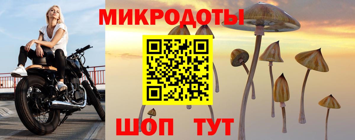 Псилоцибиновые грибы мухоморы  Вход с VPN  Псилоцибиновые грибы Psilocybe  Кызыл 